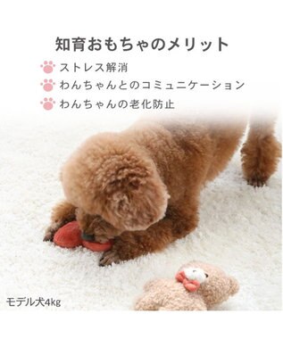 PET PARADISE ペットパラダイス プレゼント トイ ベージュ×レッド