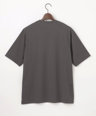 JOSEPH ABBOUD MOUNTAIN 【太陽光熱をコントロールする高機能素材】SOLAMENT ベア天竺Tシャツ グレー系