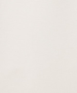 BEIGE， WALNUT / Iラインスカート White