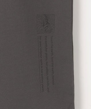 JOSEPH ABBOUD MOUNTAIN 【太陽光熱をコントロールする高機能素材】SOLAMENT ベア天竺Tシャツ グレー系