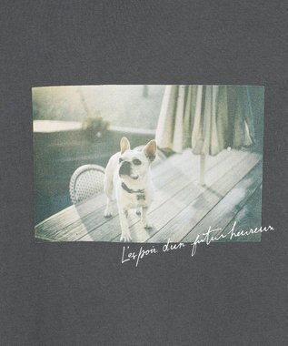 ANY KIDS オーガビッツカラーロゴTシャツ 犬フォト