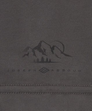 JOSEPH ABBOUD MOUNTAIN 【太陽光熱をコントロールする高機能素材】SOLAMENT ベア天竺Tシャツ グレー系