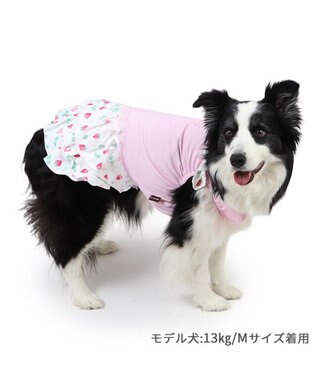PET PARADISE ペットパラダイス 接触冷感 ワンピース 《いちご柄》 中型犬 大型犬 いちご柄