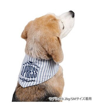 PET PARADISE J.PRESS クールバンダナ 《ストライプ柄》 中型犬 ライトブルー