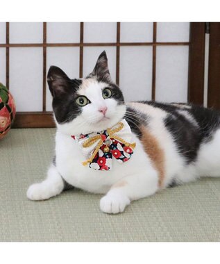 PET PARADISE ペットパラダイス 和帯 ねこ首輪 《紺》 小 / 中 紺