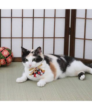 PET PARADISE ペットパラダイス 和帯 ねこ首輪 《紺》 小 / 中 紺