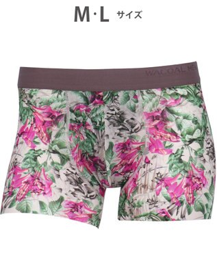 WACOAL MEN WACOAL MEN ボクサーパンツ 【気持ちいいパンツ】 動いてもズレにくい フロントの安定性・快適性 前閉じ 下着 メンズ WT3439 /ワコールメン サンドベージュ