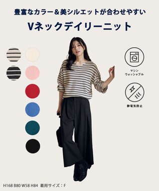 ANY 【8色展開】Vネックデイリーニット ベージュ×ブラック