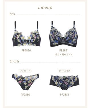 Wing ブラジャー Wing Lesiage サイドすっきり しっかりフィット 【2850シリーズ】 パッド有 ブラ PB2850 ウイング／ワコール コン