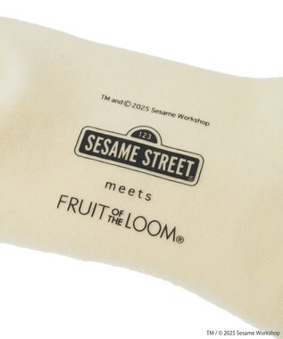 Green Parks セサミストリートミーツオブザルーム　ソックス Purple