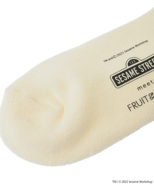 Green Parks セサミストリートミーツオブザルーム　ソックス Purple