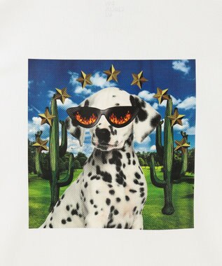 PW CIRCULUS 【WOMEN】【吸汗速乾】アニマル フォト ポロシャツ ホワイト系5