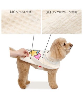 PET PARADISE スヌーピー バースデー ポンチョ 中型犬 大型犬 オフホワイト