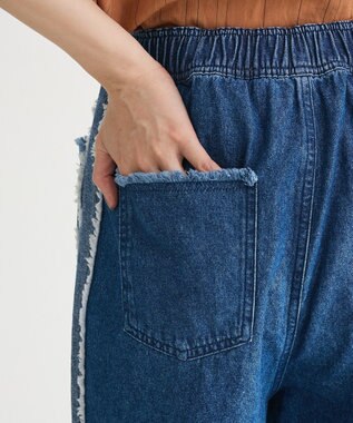 Green Parks ・ＤＯＵＢＬＥ　ＦＬＡＧＳ　フリンジラインイージーデ Indigo