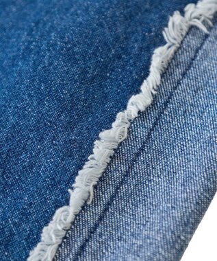 Green Parks ・ＤＯＵＢＬＥ　ＦＬＡＧＳ　フリンジラインイージーデ Indigo