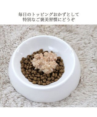 PET PARADISE リアル フードパウチ スープ レバー＆キャロット 50g×3パック 国産 0