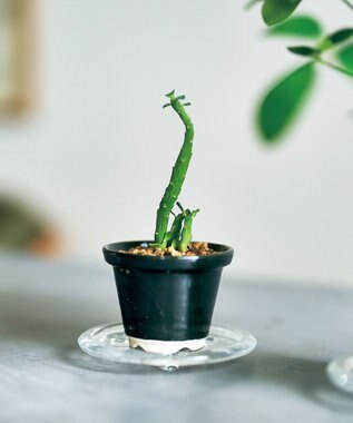 aito製作所 景　植木鉢小