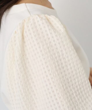 earth music&ecology シアーチェックスリーブプルオーバー Ivory