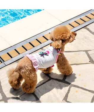 PET PARADISE リサとガスパール タッチワンクール プラス キャミソール 《フラワー》 小型犬 ホワイト×ピンク