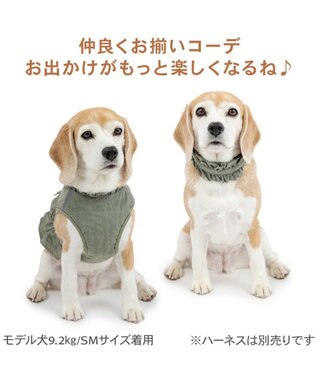 PET PARADISE ペットパラダイス ペタルオリーブ首輪 Ｌ カーキ