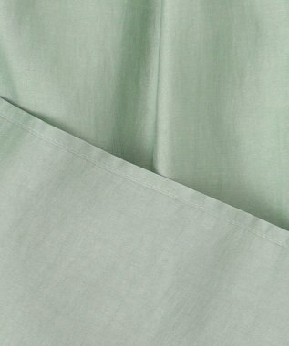 BEIGE， 【洗える】AMARYLLIS / シアーパフオーバーサイズブラウス Green