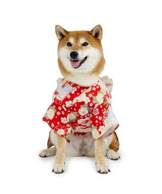 PET PARADISE ペットパラダイス 菊 牡丹 着物 中型犬 大型犬 レッド