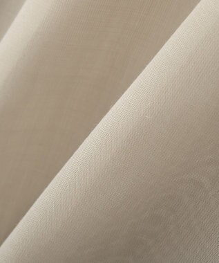 AMERICAN HOLIC シアーフーディーシャツ Gray Beige