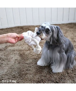 PET PARADISE ペットパラダイス 引っ張り シュシュ トイ  《 花柄 / ドット柄 》 花柄