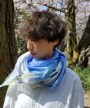 POLS 播州織 極細コットンストール ブルー