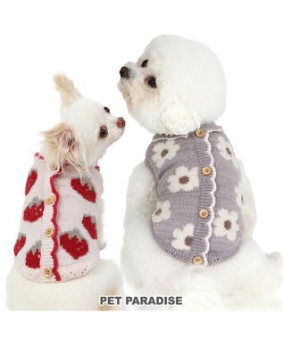 PET PARADISE ペットパラダイス お花もこセーター  超小型犬 小型犬 グレー