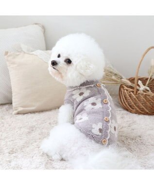 PET PARADISE ペットパラダイス お花もこセーター  超小型犬 小型犬 グレー
