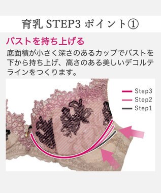 BRADELIS New York 【BRADELIS New York / 育乳STEP3 持ち上げる】ヴィオラステップ3ブラ25A1 アンティックローズ