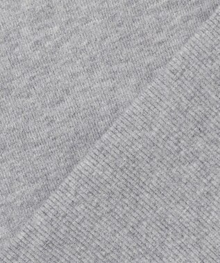 J.PRESS MEN 【NYUZELESS】ヘビーウェイト スウェットシャツ ライトグレー系