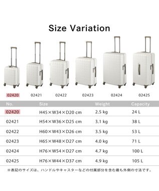 ACE BAGS & LUGGAGE Proteca 360G4 スーツケース 日本製 24L コインロッカー 機内持ち込み 02420 プロテカ ウォームグレー