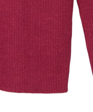 Green Parks ・ＡＮＤＳＥＡＲＣＨ　メランジリブハイネックニット Red