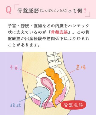 Wing ショーツ　【骨盤底筋サポートショーツ】　骨盤底筋群のゆるみをサポート　はきこみ丈ふつう　ウイング／ワコール　EC7010 シナモンブラウン