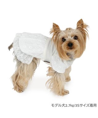 PET PARADISE ペットパラダイス レース バルーン ワンピース 《ホワイト》 小型犬 ホワイト