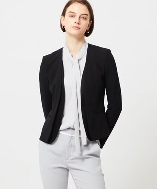 BEIGE， 【洗える・L-size】EVA / ボウタイロングスリーブブラウス Ice Blue