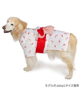 PET PARADISE ペットパラダイス 浴衣 《遊泳金魚》 中型犬 大型犬 ホワイト×レッド