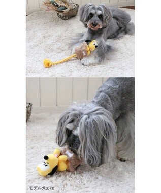 PET PARADISE ディズニー飛び出すロープトイ 《ミッキー/ミニー/プルート》 プルート