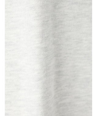 Green Parks Villains／フロントアート裏毛プルオーバー Oatmeal