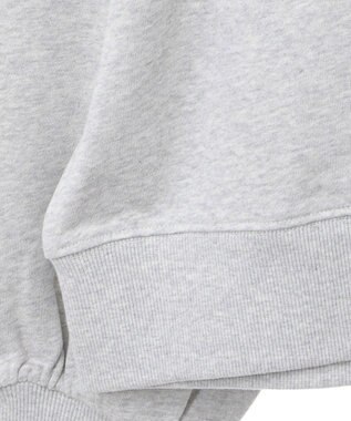 AMERICAN HOLIC ＥＶＡＮＳＴＯＮ　ミニ裏毛プルオーバー Light Gray Mixture