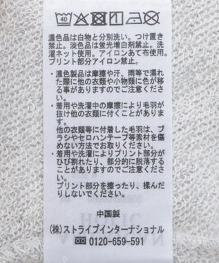 AMERICAN HOLIC ＥＶＡＮＳＴＯＮ　ミニ裏毛プルオーバー Light Gray Mixture