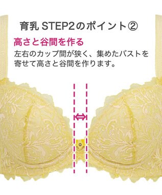 BRADELIS New York 【BRADELIS New York】ナオミステップ2ブラ23S2 バストを寄せて丸い女性らしい谷間をつくる補正ブラ イエロー