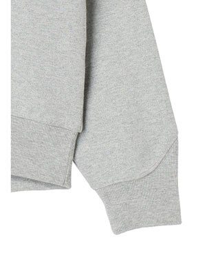 AMERICAN HOLIC 発泡ロゴポンチプルオーバー Light Gray Mixture