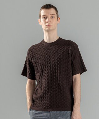 JOSEPH HOMME 【洗える】ドライコットンリンクス　半袖クルーネックニット ダークブラウン系