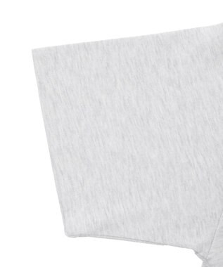 WEGO 【ユニセックス着用ITEM/MLサイズ展開】別注USPOLO　ヘビーウェイトポロT アッシュグレー