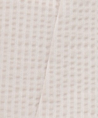 J.PRESS LADIES L 【WEB限定カラーあり・抗菌消臭・吸水速乾】サッカージャージー キーネック カットソー ベージュ系1