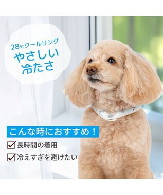 PET PARADISE ペットパラダイス ２８℃ クールリング Ｓ 《サメ柄》 ブルー