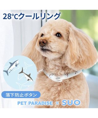 PET PARADISE ペットパラダイス ２８℃ クールリング Ｓ 《サメ柄》